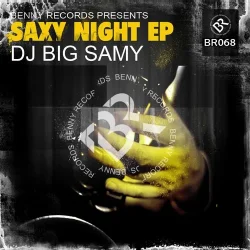 Pochette DJ Big Samy - Feel The Music (Original Mix)