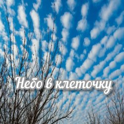 Pochette Яна RU - Небо в клеточку