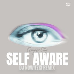 Pochette Temper City - Self Aware (DJ Nowitzki Remix)