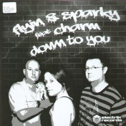 Pochette Flyin' & Sparky Feat Charm - Touch Ya Body (Joey Riot Remix)