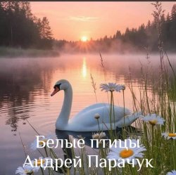 Pochette Андрей Парачук - Белые птицы