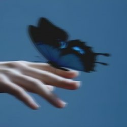 Pochette Butterflies in the Stomach