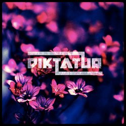 Pochette Diktatur - Еhe Harm