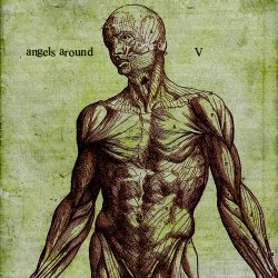 Pochette Angels Around - Vesta