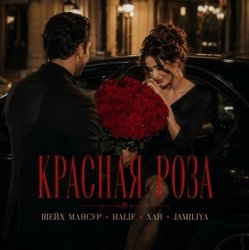 Pochette Красная роза