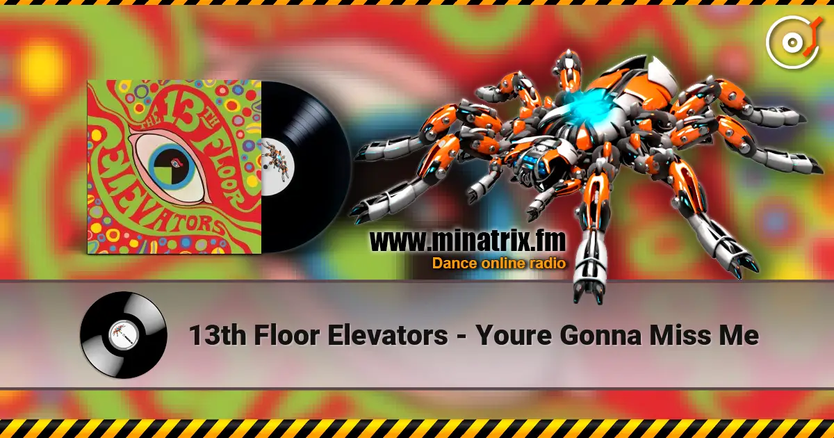 13th Floor Elevators - Youre Gonna Miss Me écouter en ligne en haute qualité | Minatrix.FM