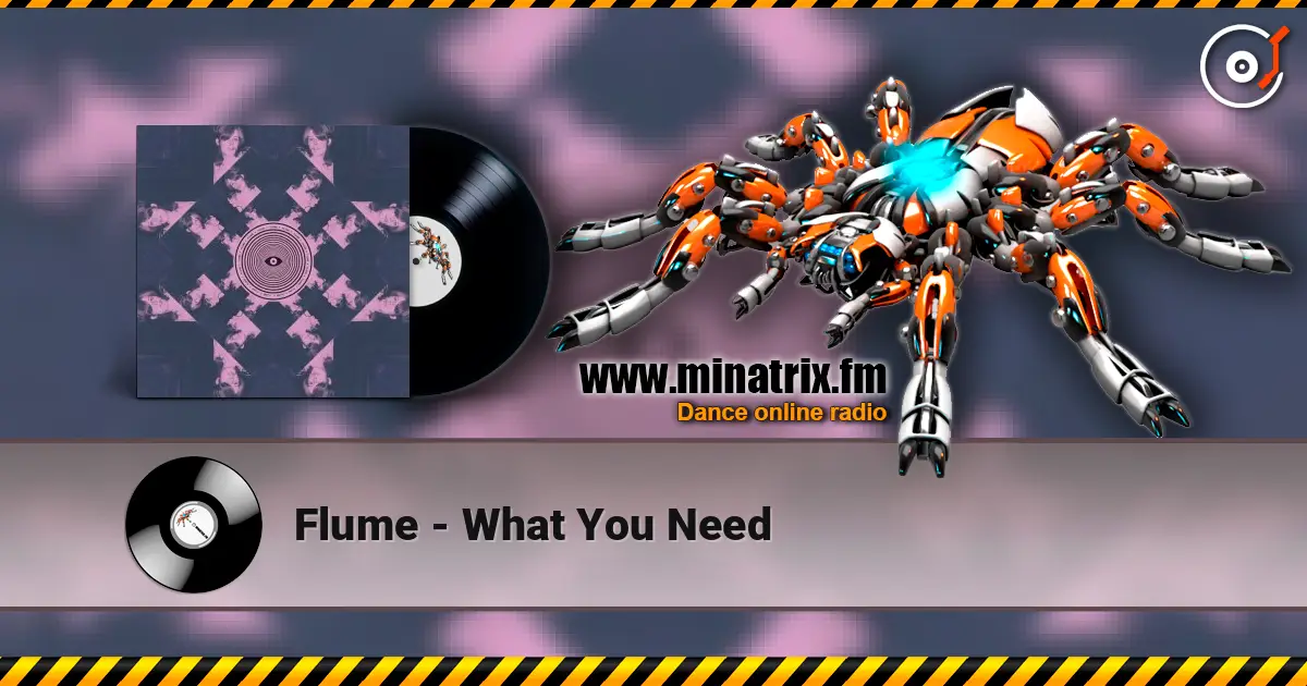 Flume - What You Need écouter en ligne en haute qualité | Minatrix.FM