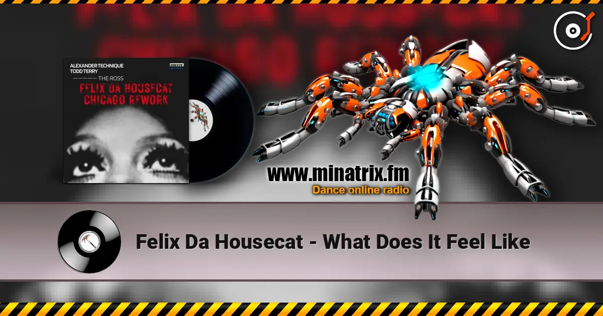 Felix Da Housecat - What Does It Feel Like écouter en ligne en haute qualité | Minatrix.FM