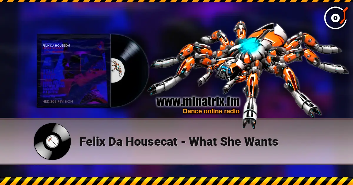 Felix Da Housecat - What She Wants écouter en ligne en haute qualité | Minatrix.FM