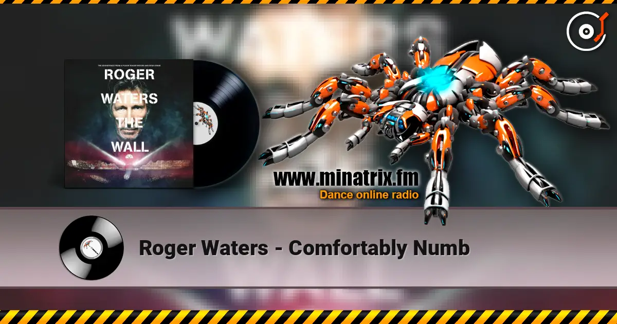 Roger Waters - Comfortably Numb écouter en ligne en haute qualité | Minatrix.FM
