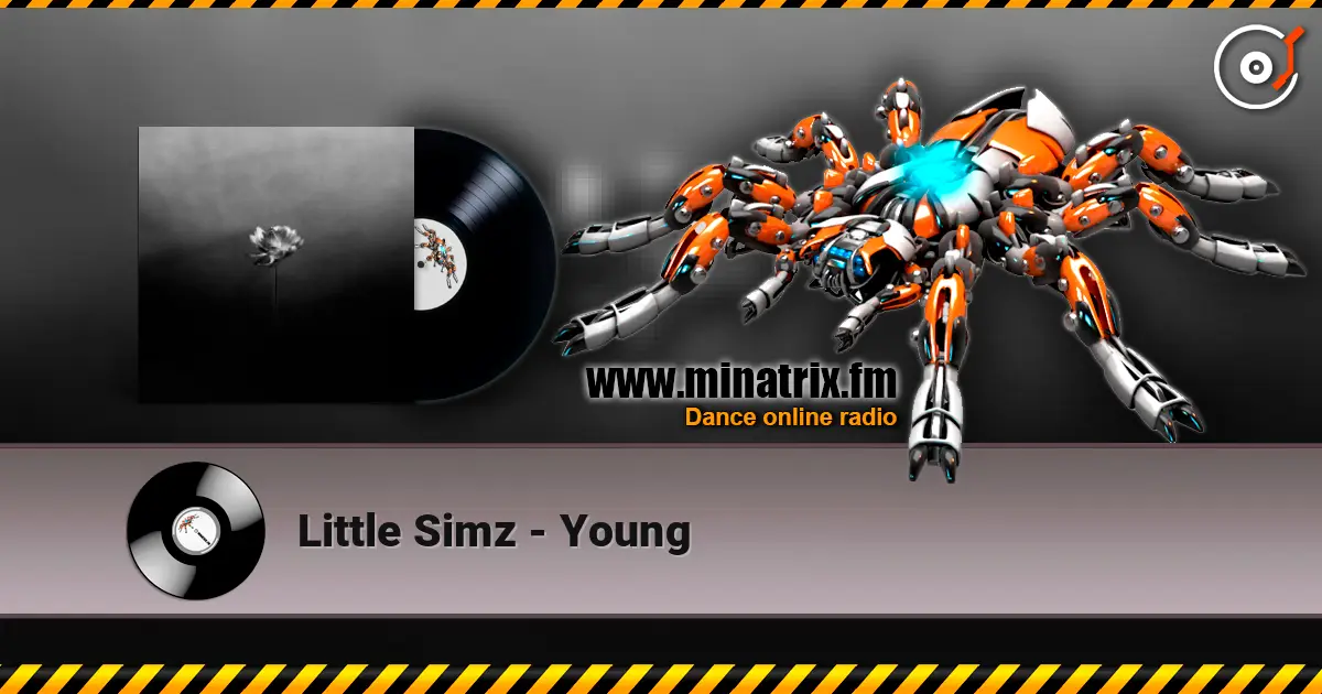Little Simz - Young écouter en ligne en haute qualité | Minatrix.FM
