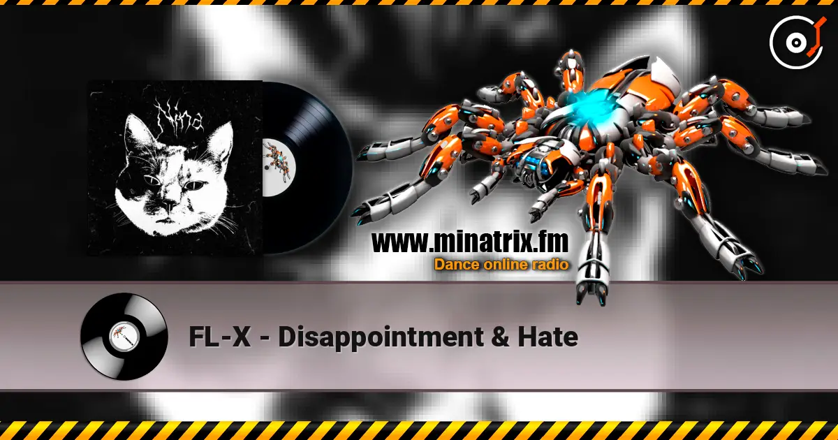 FL-X - Disappointment & Hate écouter en ligne en haute qualité | Minatrix.FM