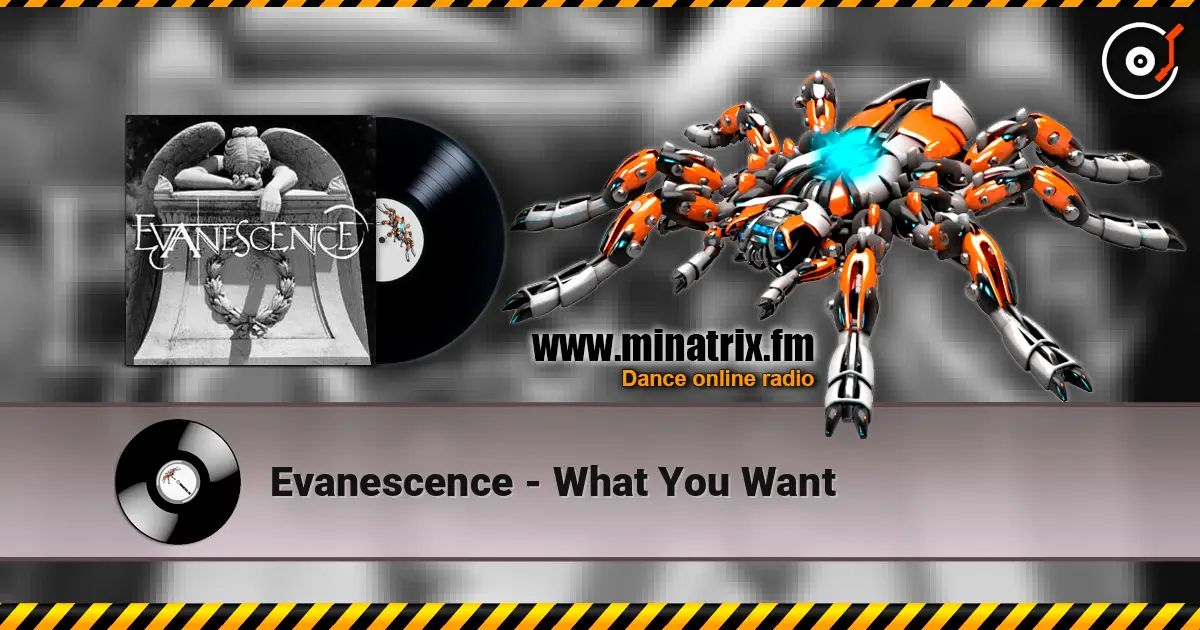 Evanescence - What You Want écouter en ligne en haute qualité | Minatrix.FM