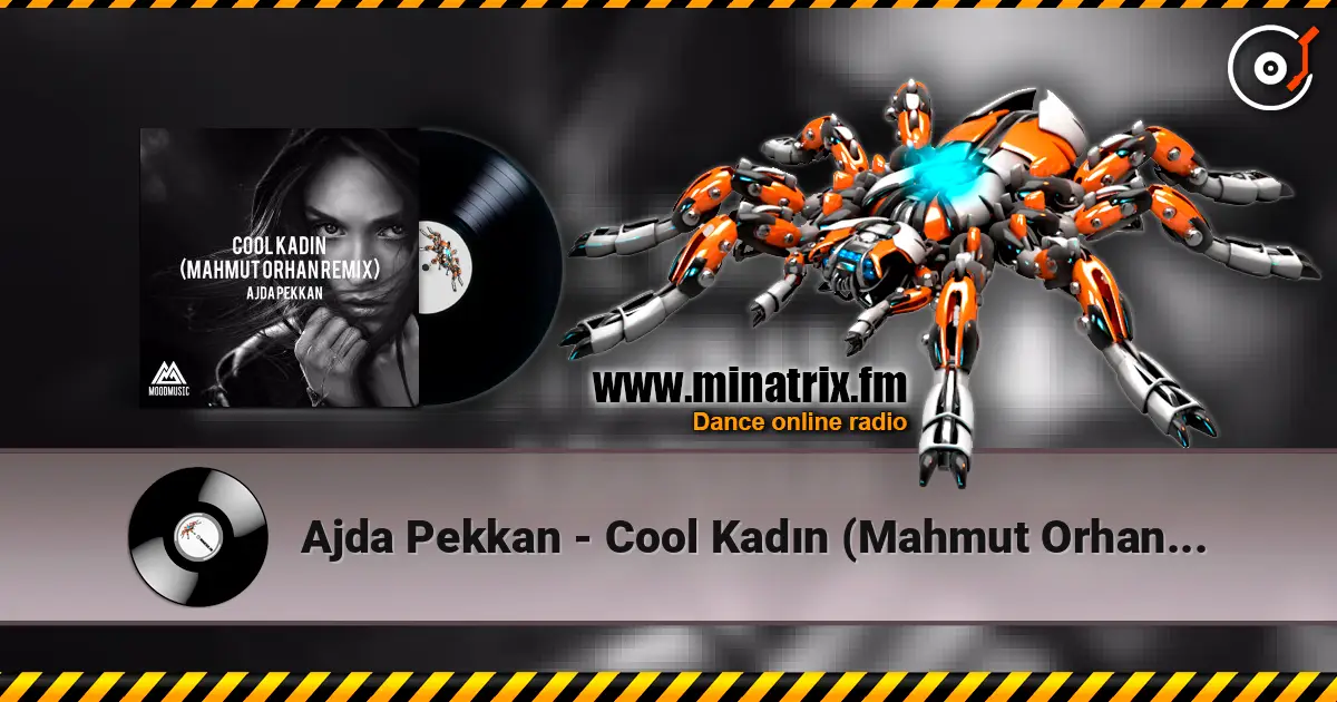 Ajda Pekkan - Cool Kadın (Mahmut Orhan Remix) écouter en ligne en haute qualité | Minatrix.FM