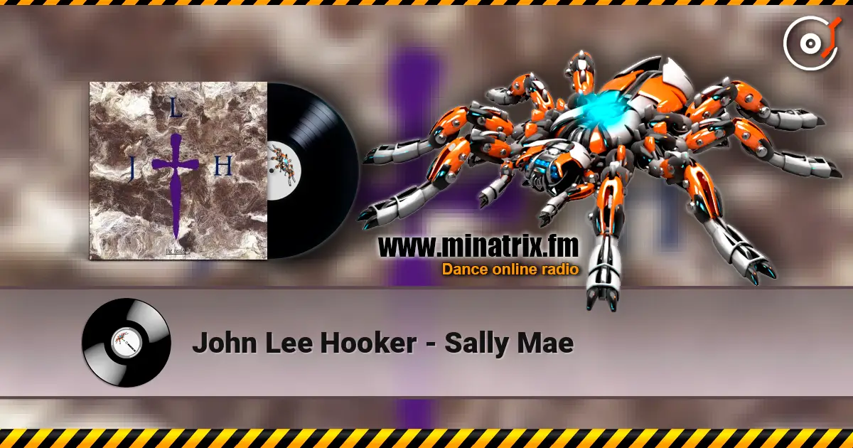 John Lee Hooker - Sally Mae écouter en ligne en haute qualité | Minatrix.FM