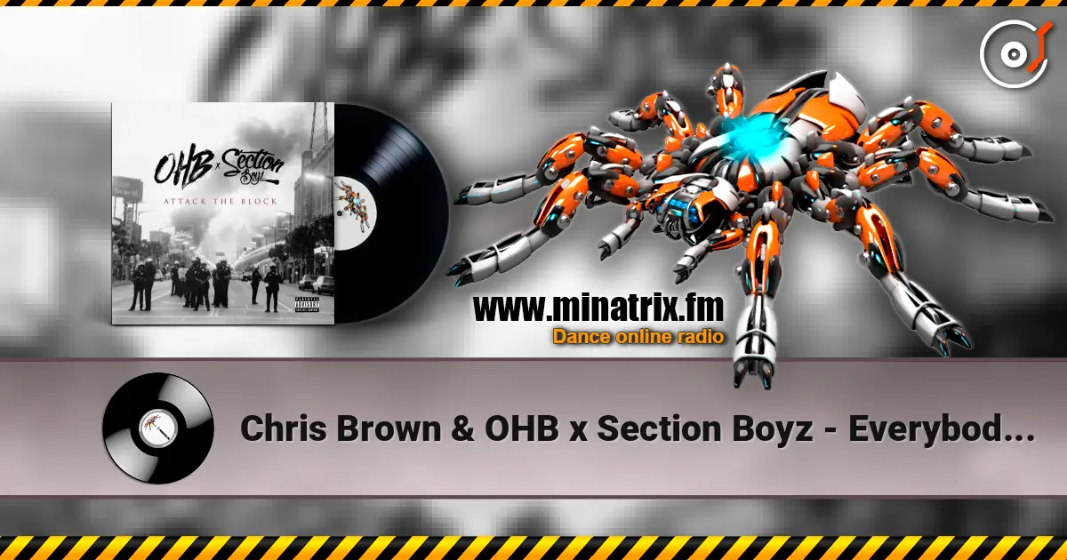Chris Brown & OHB x Section Boyz - Everybody (feat. Chris Brown & Young Lo) écouter en ligne en haute qualité | Minatrix.FM