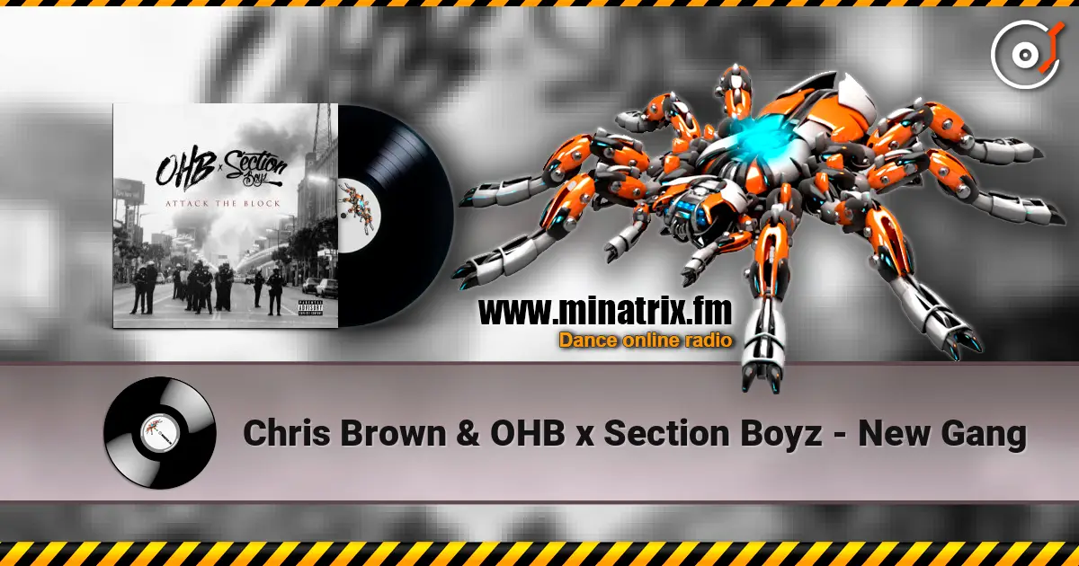 Chris Brown & OHB x Section Boyz - New Gang écouter en ligne en haute qualité | Minatrix.FM