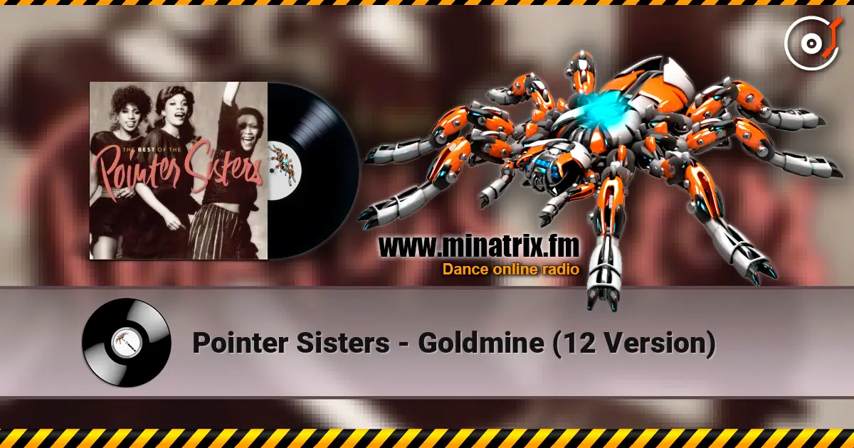 Pointer Sisters - Goldmine  (12 Version) écouter en ligne en haute qualité | Minatrix.FM