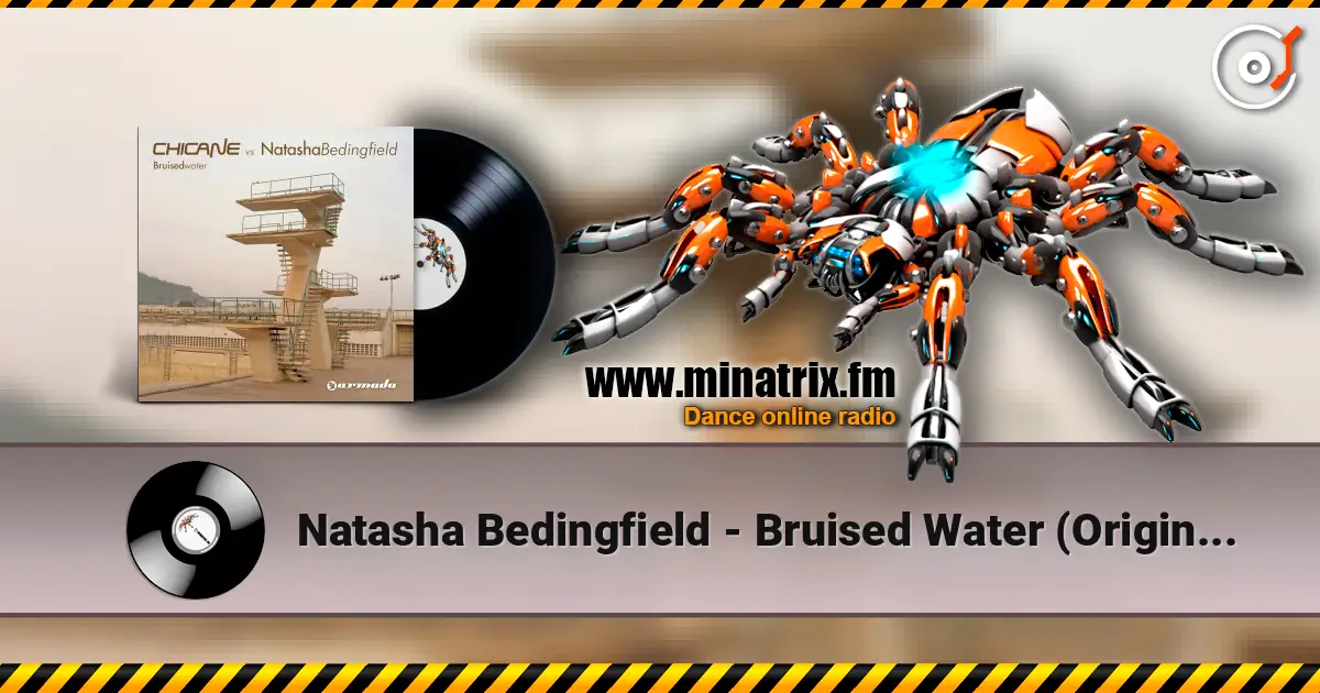 Natasha Bedingfield - Bruised Water (Original Mix) écouter en ligne en haute qualité | Minatrix.FM
