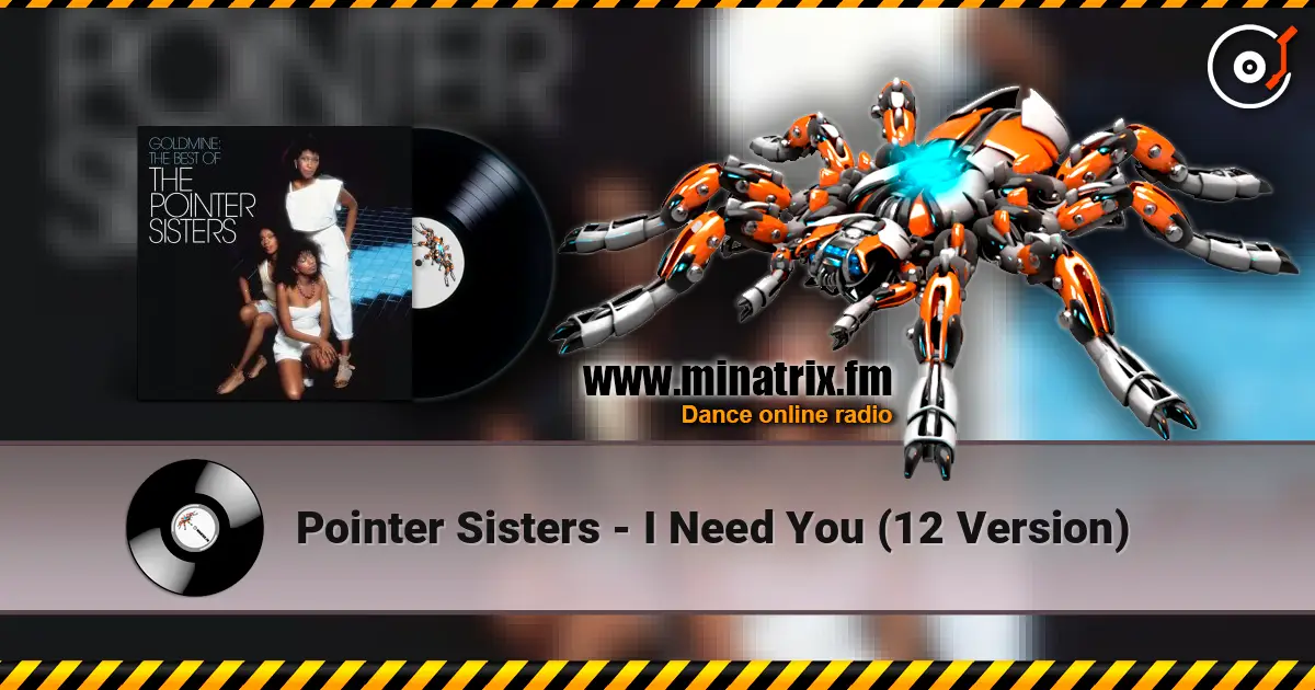 Pointer Sisters - I Need You  (12 Version) écouter en ligne en haute qualité | Minatrix.FM