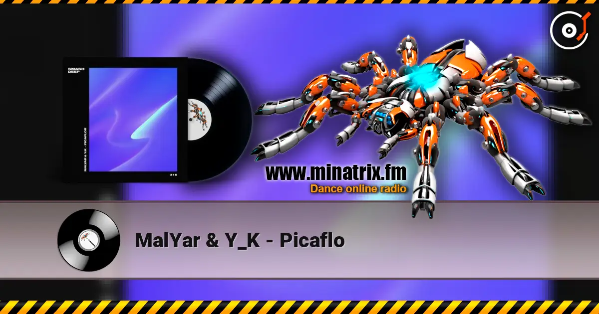 MalYar & Y_K - Picaflo écouter en ligne en haute qualité | Minatrix.FM