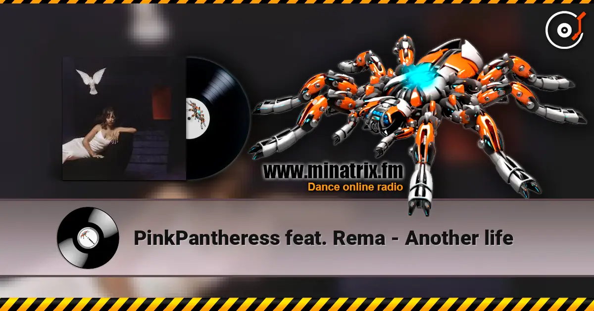 PinkPantheress feat. Rema - Another life écouter en ligne en haute qualité | Minatrix.FM