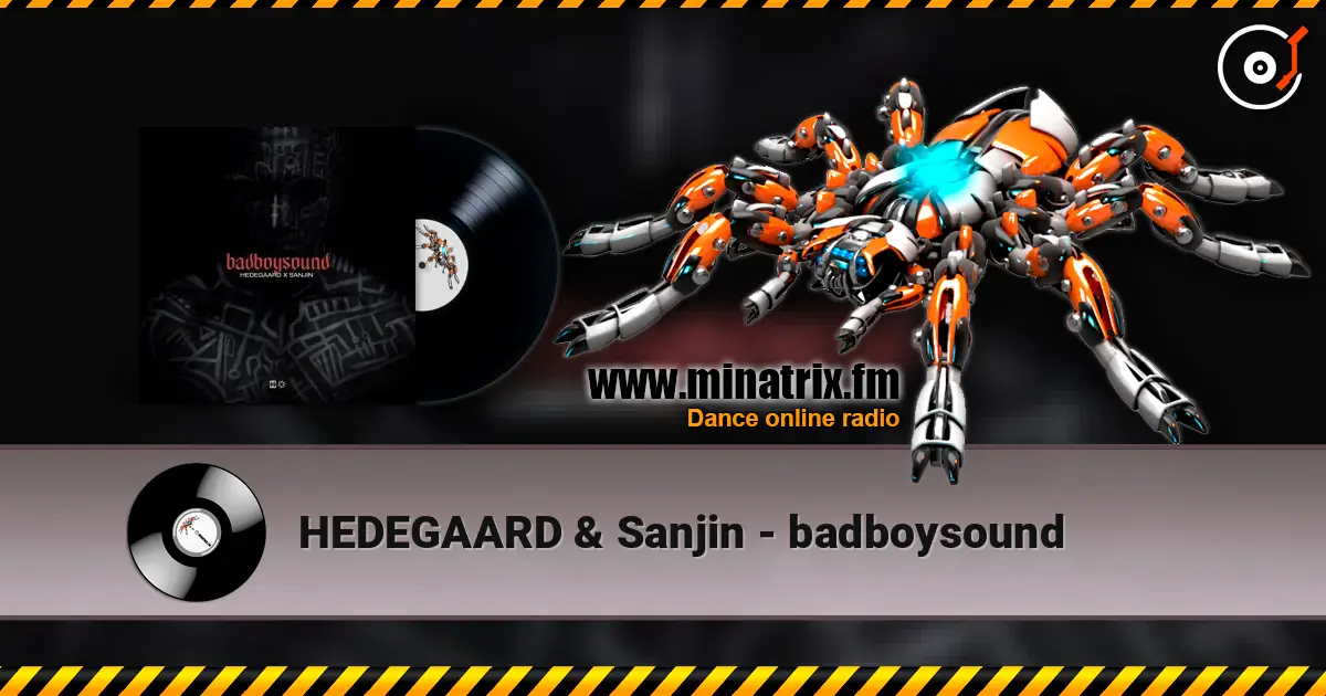HEDEGAARD & Sanjin - badboysound écouter en ligne en haute qualité | Minatrix.FM