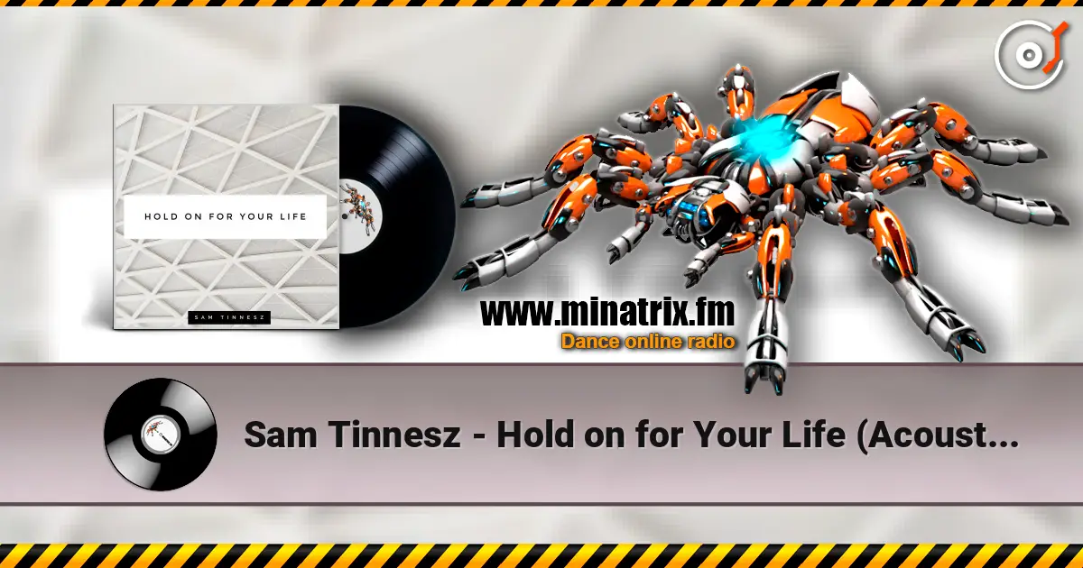 Sam Tinnesz - Hold on for Your Life (Acoustic) écouter en ligne en haute qualité | Minatrix.FM