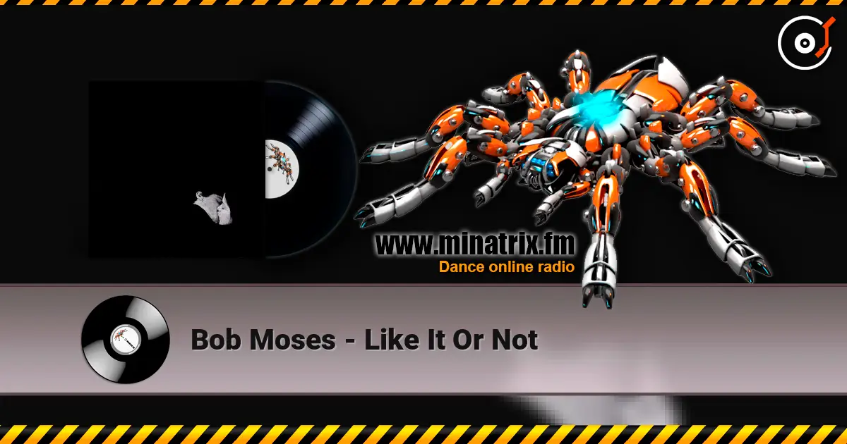 Bob Moses - Like It Or Not écouter en ligne en haute qualité | Minatrix.FM