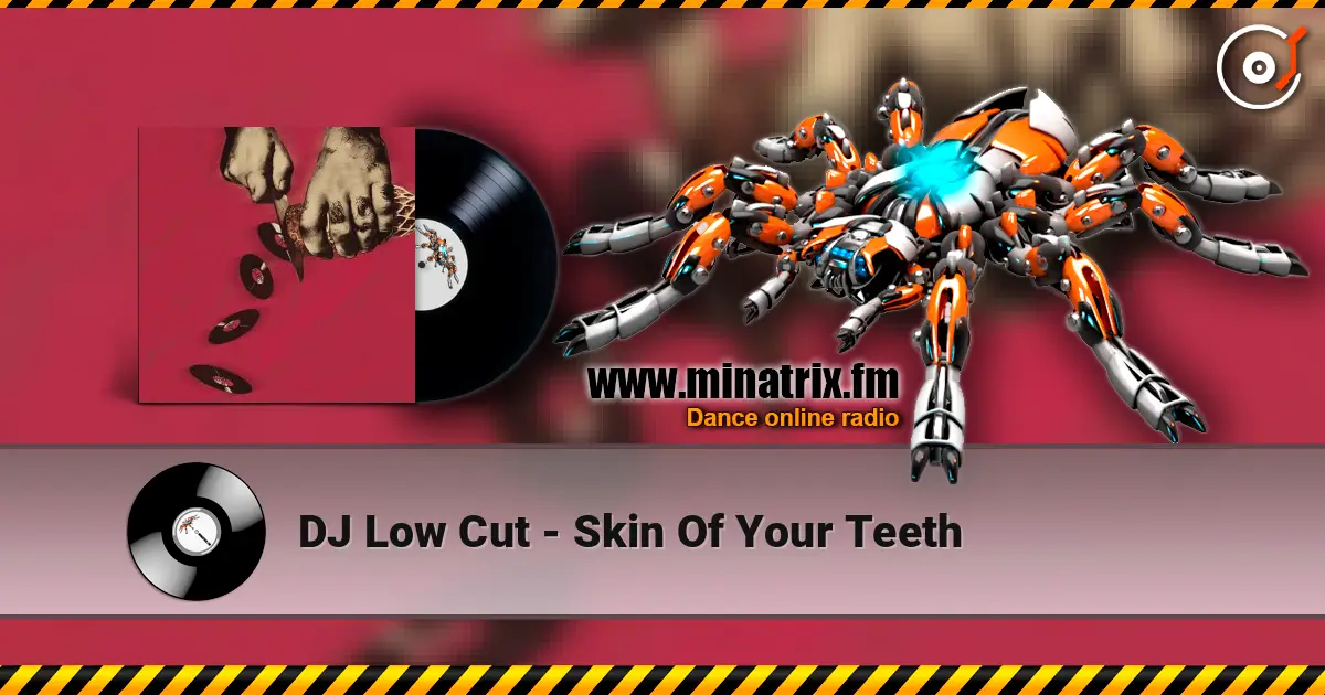 DJ Low Cut - Skin Of Your Teeth écouter en ligne en haute qualité | Minatrix.FM