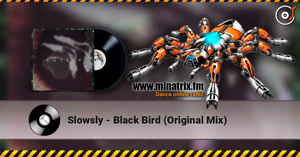Slowsly - Black Bird (Original Mix) écouter en ligne en haute qualité | Minatrix.FM