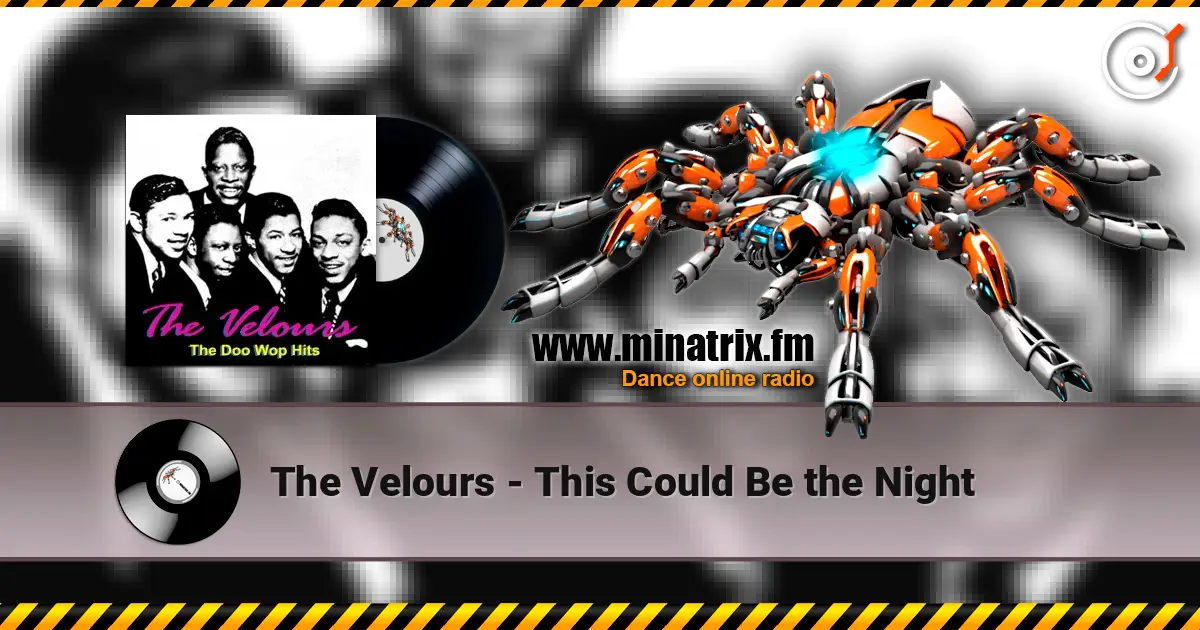 The Velours - This Could Be the Night écouter en ligne en haute qualité | Minatrix.FM