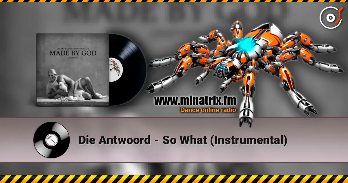 Die Antwoord - So What (Instrumental) écouter en ligne en haute qualité | Minatrix.FM