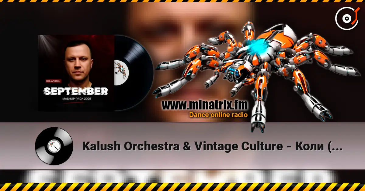 Kalush Orchestra & Vintage Culture - Коли (Ocean Dee Edit) écouter en ligne en haute qualité | Minatrix.FM