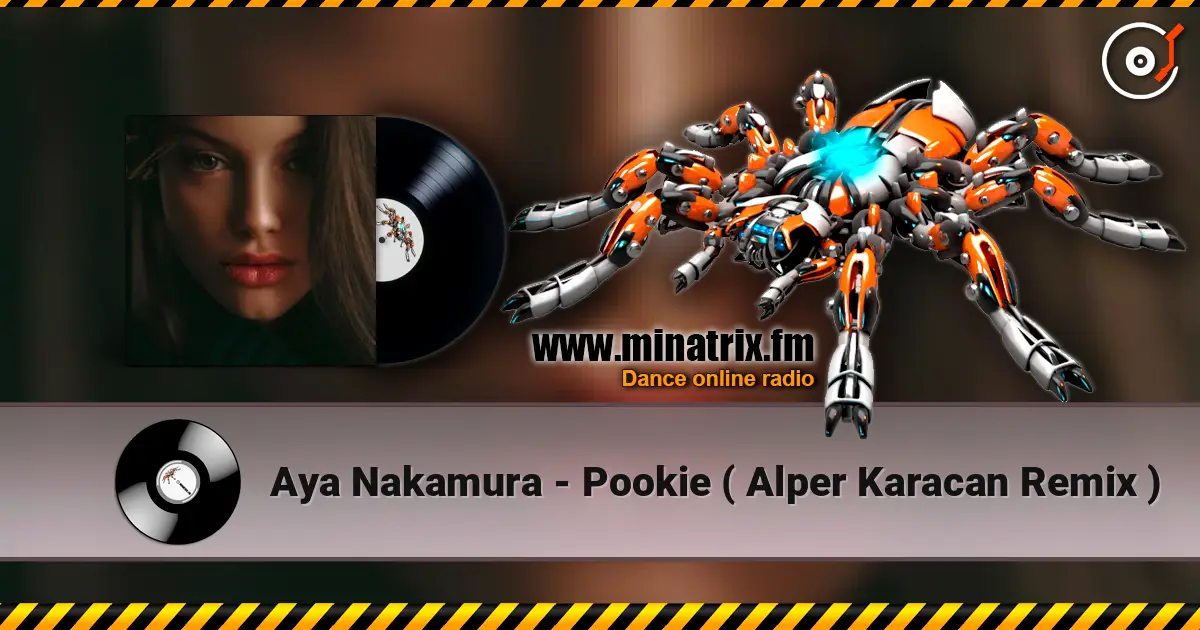 Aya Nakamura - Pookie ( Alper Karacan Remix ) écouter en ligne en haute qualité | Minatrix.FM