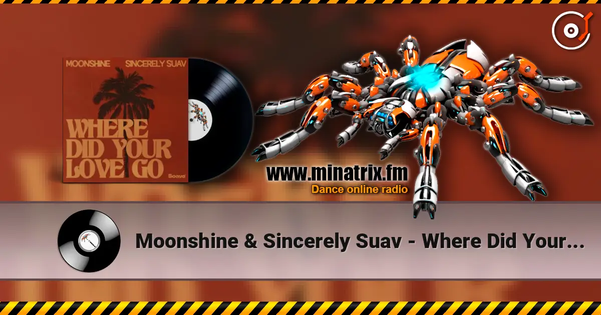 Moonshine & Sincerely Suav - Where Did Your Love Go écouter en ligne en haute qualité | Minatrix.FM