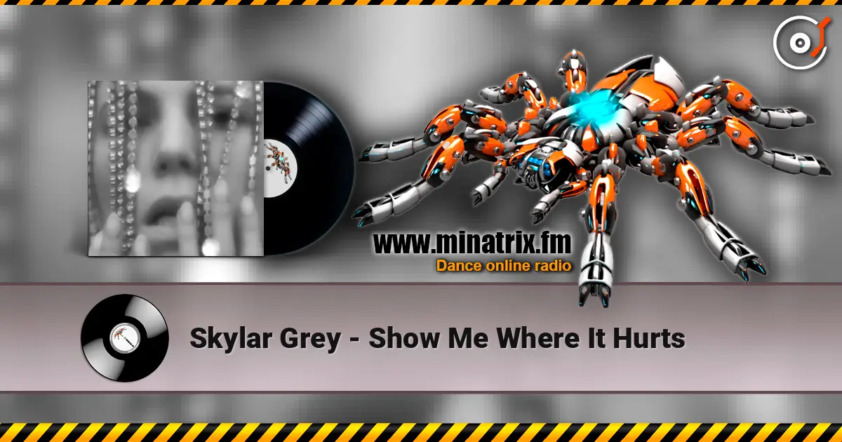 Skylar Grey - Show Me Where It Hurts écouter en ligne en haute qualité | Minatrix.FM
