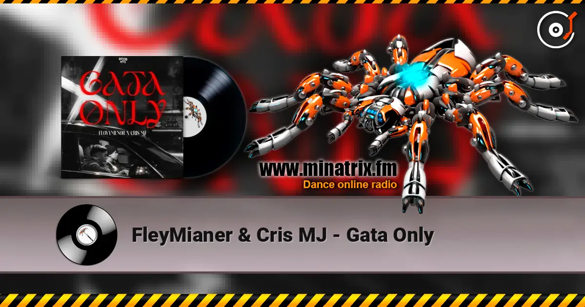 FleyMianer & Cris MJ - Gata Only écouter en ligne en haute qualité | Minatrix.FM
