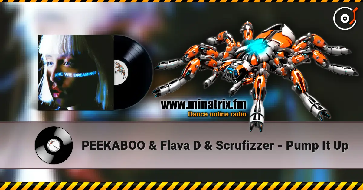 PEEKABOO & Flava D & Scrufizzer - Pump It Up écouter en ligne en haute qualité | Minatrix.FM
