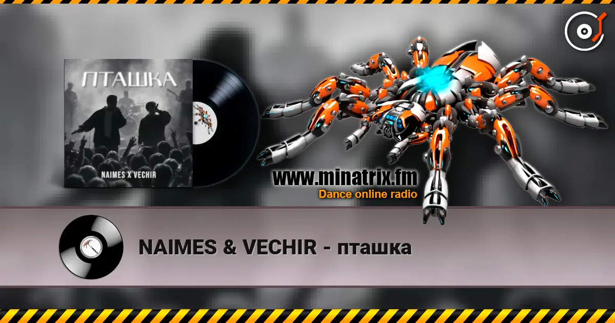 NAIMES & VECHIR - пташка écouter en ligne en haute qualité | Minatrix.FM
