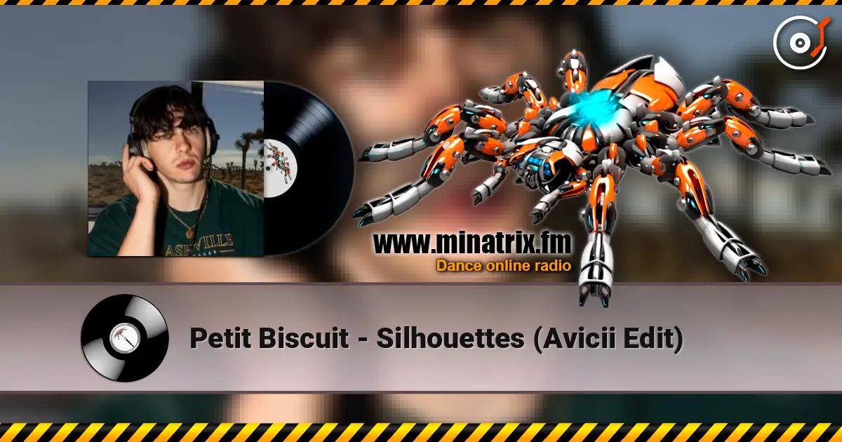 Petit Biscuit - Silhouettes (Avicii Edit) écouter en ligne en haute qualité | Minatrix.FM