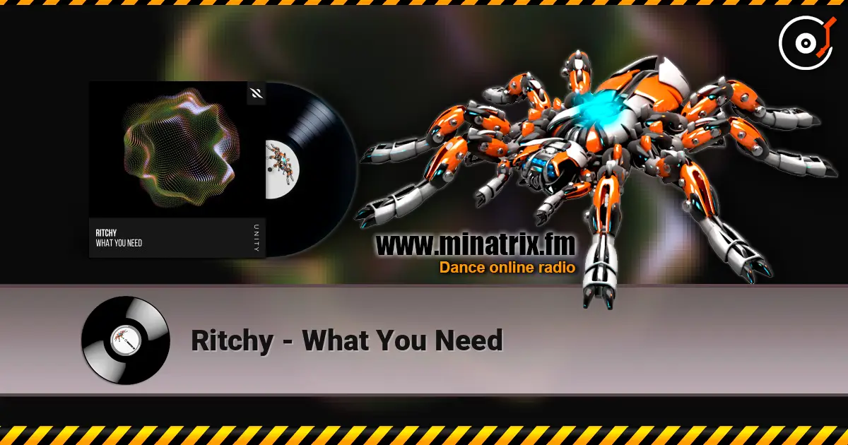 Ritchy - What You Need écouter en ligne en haute qualité | Minatrix.FM