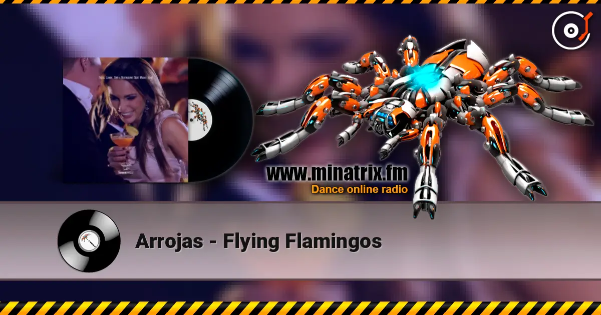 Arrojas - Flying Flamingos écouter en ligne en haute qualité | Minatrix.FM