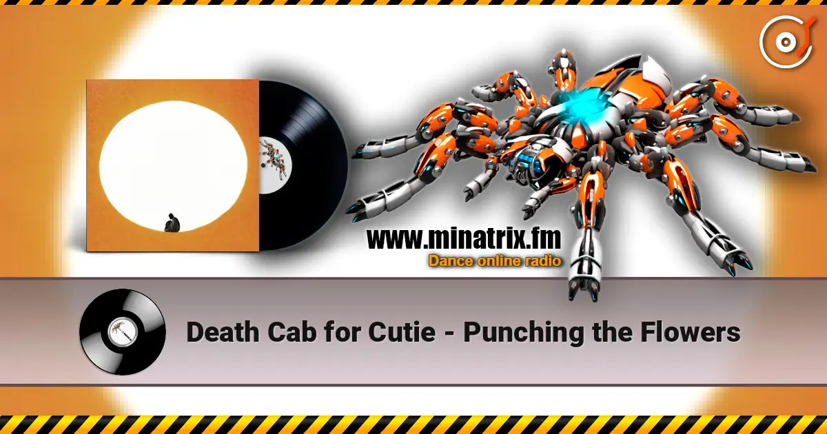 Death Cab for Cutie - Punching the Flowers écouter en ligne en haute qualité | Minatrix.FM