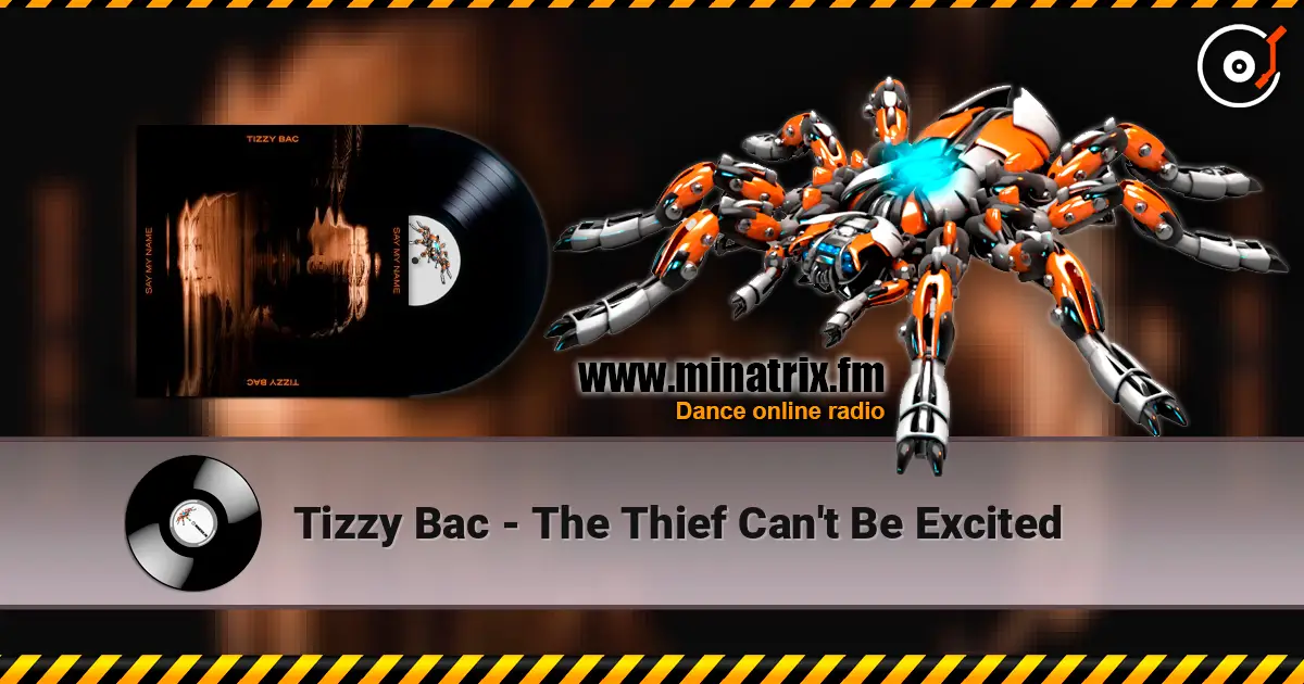 Tizzy Bac - The Thief Can't Be Excited écouter en ligne en haute qualité | Minatrix.FM