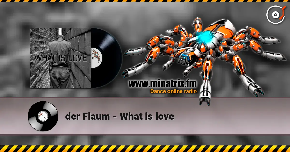 der Flaum - What is love écouter en ligne en haute qualité | Minatrix.FM