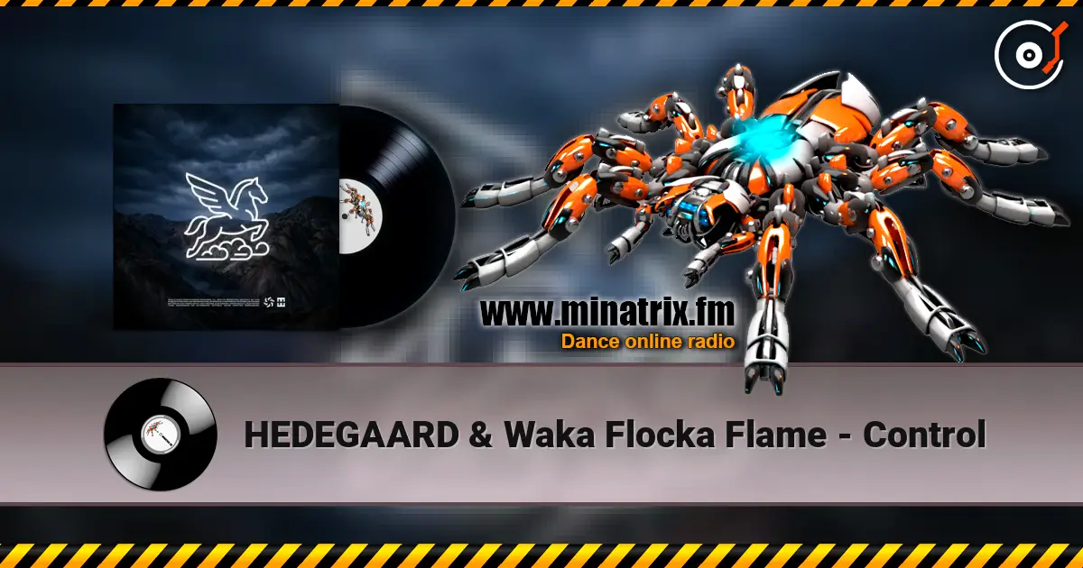HEDEGAARD & Waka Flocka Flame - Control écouter en ligne en haute qualité | Minatrix.FM
