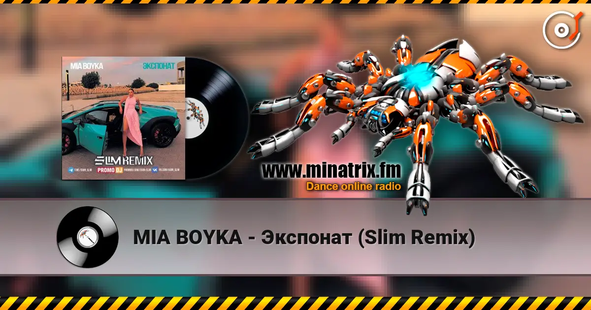 MIA BOYKA - Экспонат (Slim Remix) écouter en ligne en haute qualité | Minatrix.FM