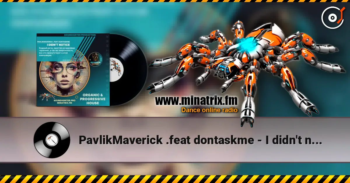 PavlikMaverick .feat dontaskme - I didn't notice écouter en ligne en haute qualité | Minatrix.FM