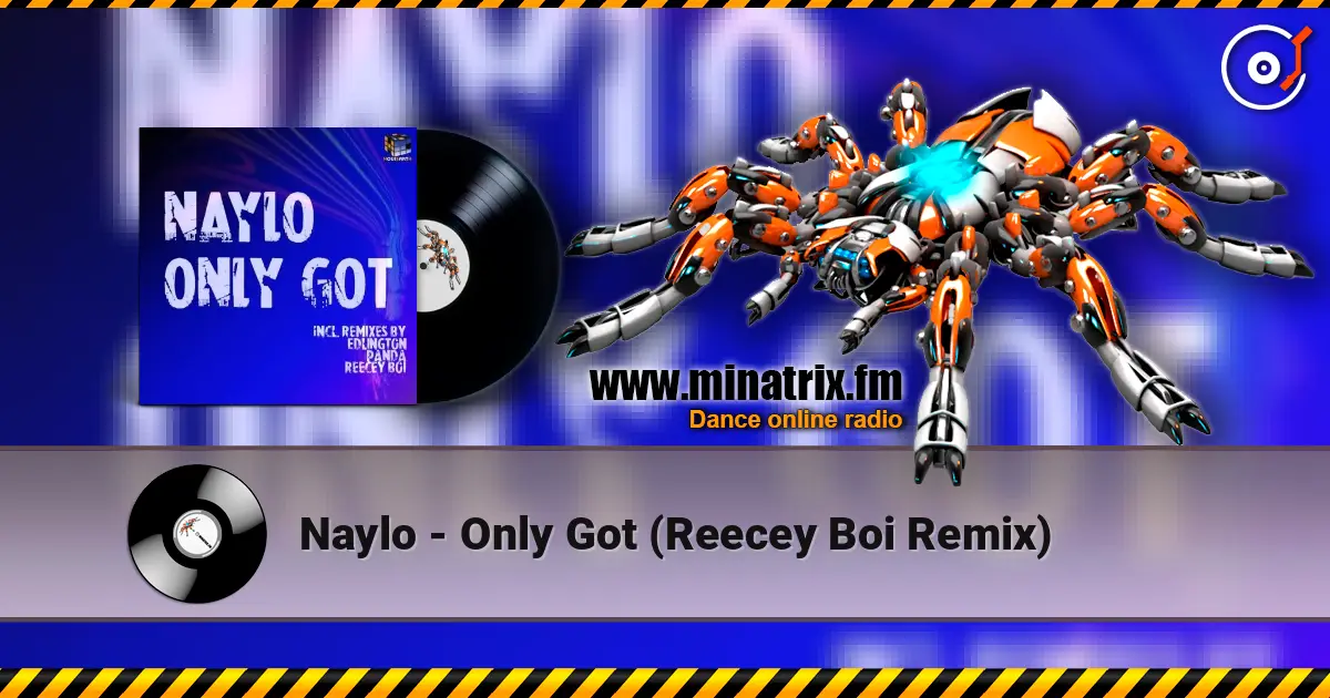 Naylo - Only Got (Reecey Boi Remix) écouter en ligne en haute qualité | Minatrix.FM